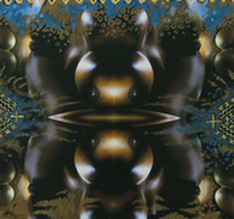 Felina Wood xxx star du porno photo