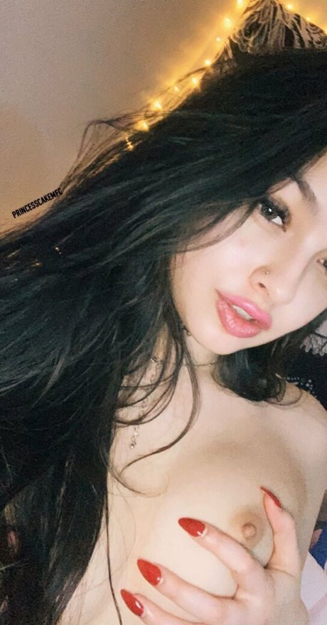 VantaBee modèle meilleur collection