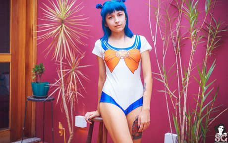 Wingsweak modèle hd collection