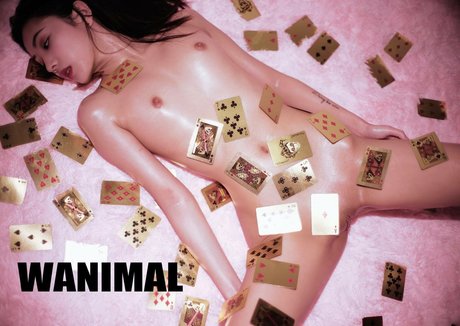 Qinweiyingjie étoile image