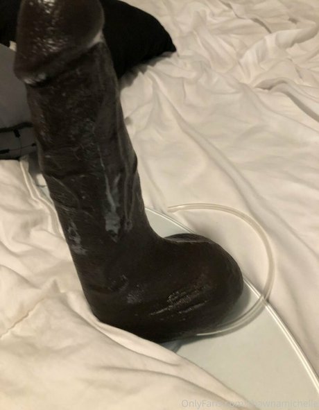 Shawnamichelle meilleure étoile galeries