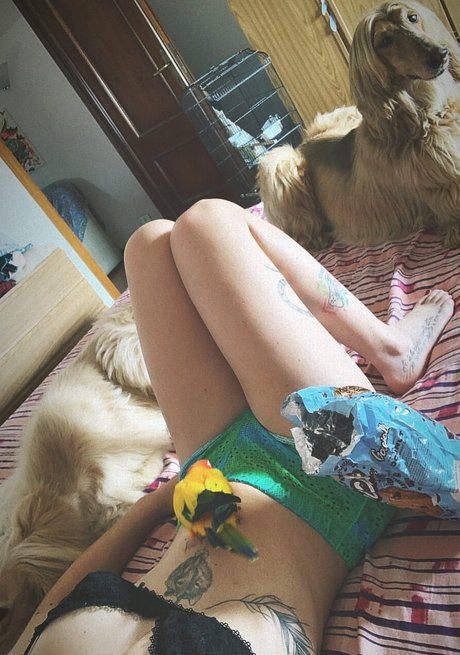 MidoriShake mannequin img