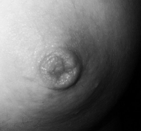 Fre4 zy étoile parfaite collection