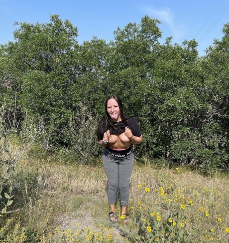 Kdmcakes belle étoile photos