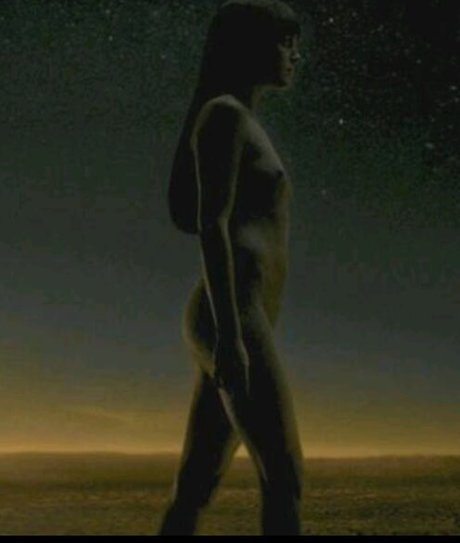 Malin Akerman haut étoile photos