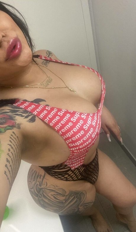 anciens fans uniquement art exclusif galerie