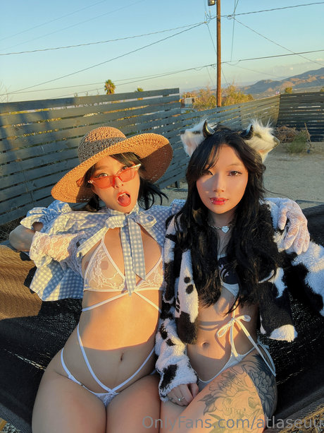 Dxgxmii star du sexe collection