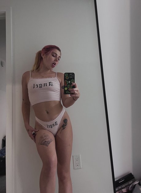 Alexis Evans star du porno exclusive collection