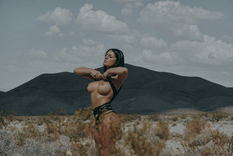 _Risrose meilleure étoile images