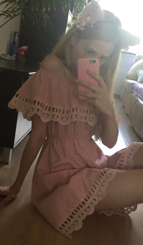 Pumpur mur modèle chaud galeries