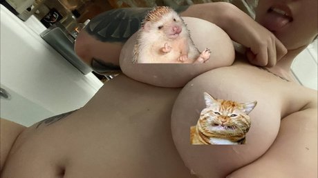 twink nu onlyfans nu libre archive