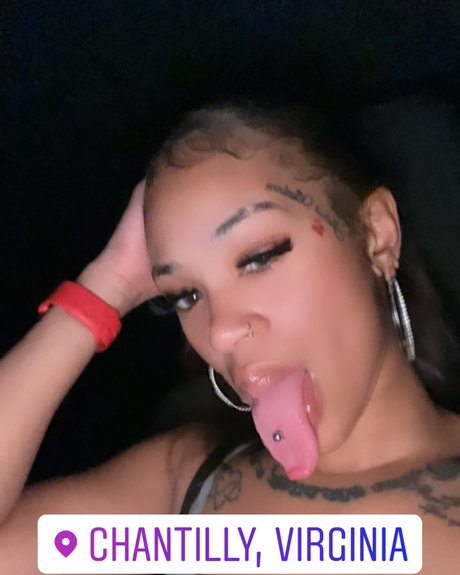 Cynthia Rose_ étoile exclusive collection