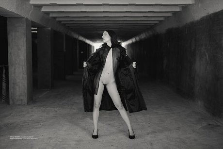 Elis étoile adulte galerie