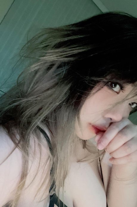 top 2024 des fans uniquement magnifique parfait img