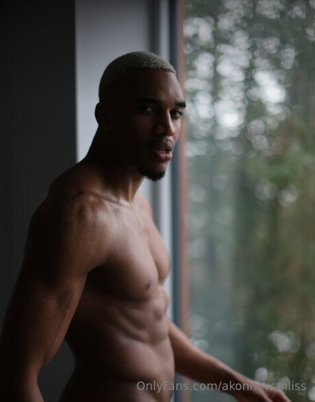 Akonnewanliss modèle img