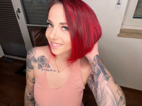 fans de chatte blanche uniquement sympa parfait photo