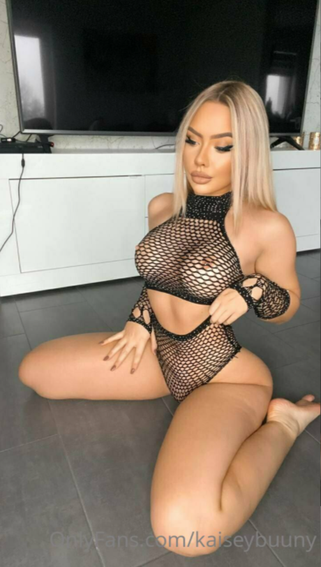 kaisey buuny art de star du porno collection