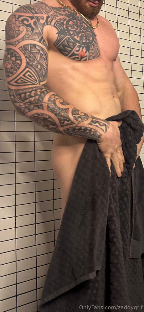 Bigdaddygrif art de star du porno galerie