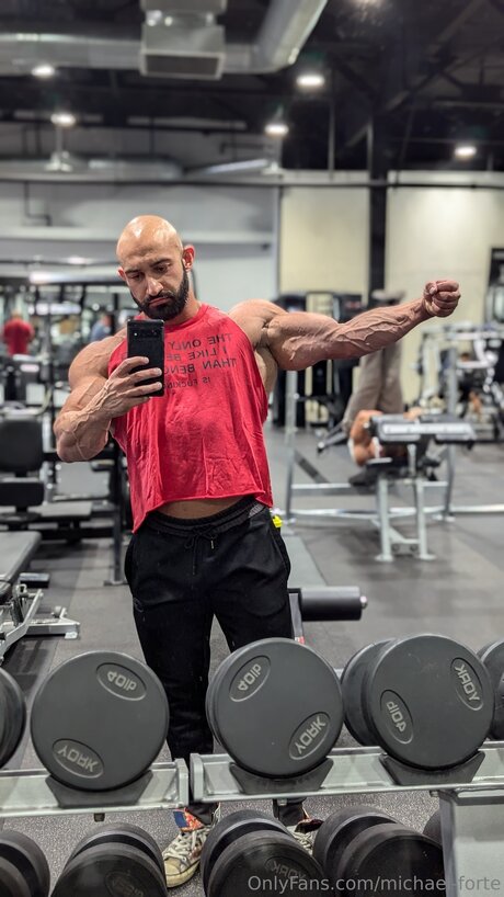 Michael Forte modèle artistique galerie