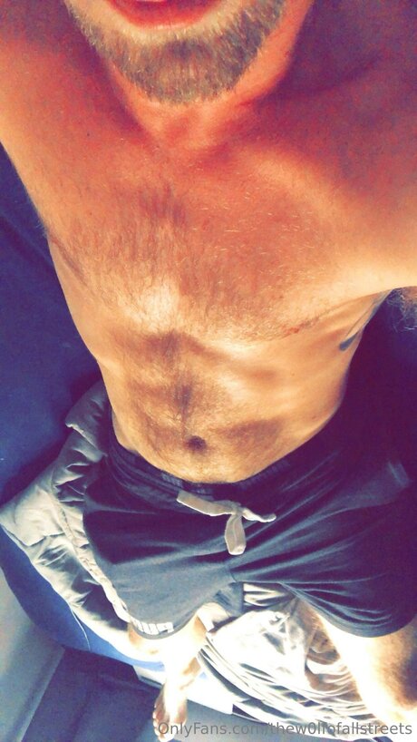 Thew0lfofallstreets actrice pornographique img