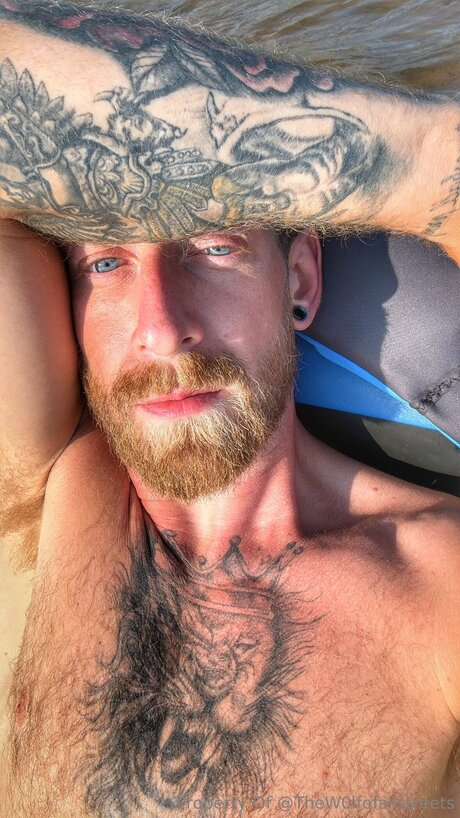 Thew0lfofallstreets actrice artistique collection