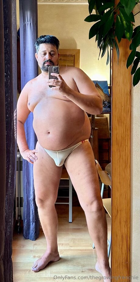 Thegrowingfrenchie modèle sympa image