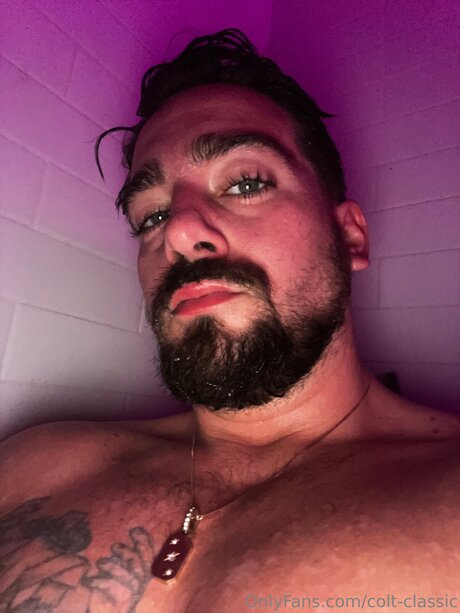 Colt Classic étoile magnifique galeries