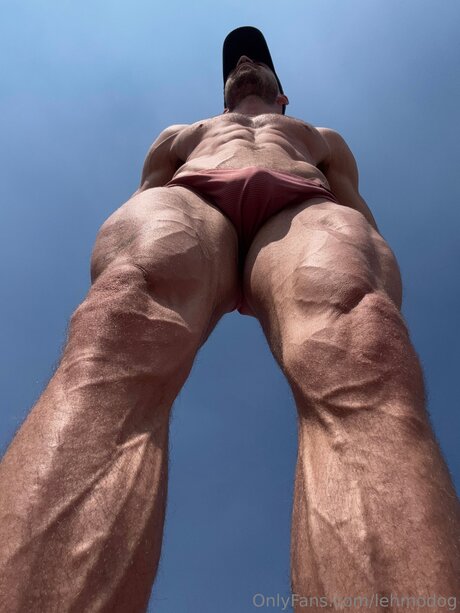 Lehmodog star du porno érotique image