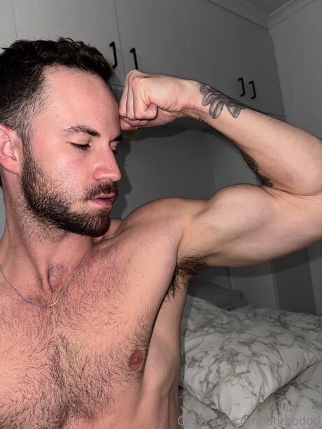 Lehmodog star du porno sympa galeries