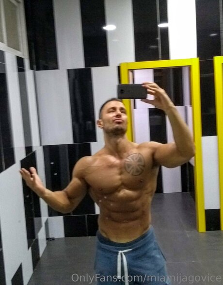 Miamijagovice nus étoiles img