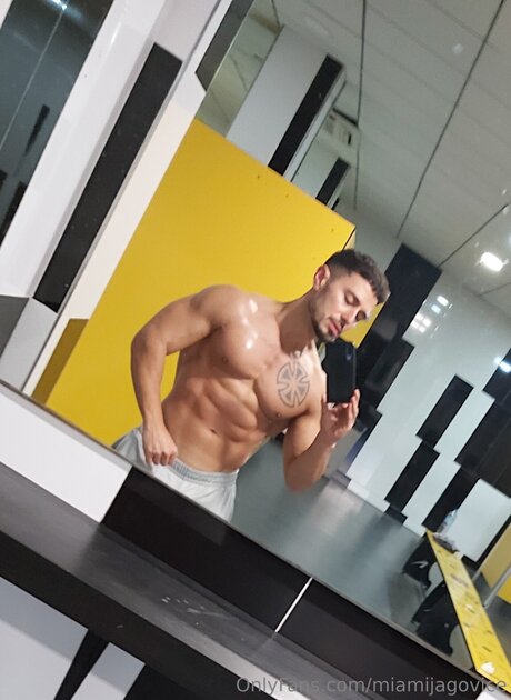 Miamijagovice étoile de l'art image