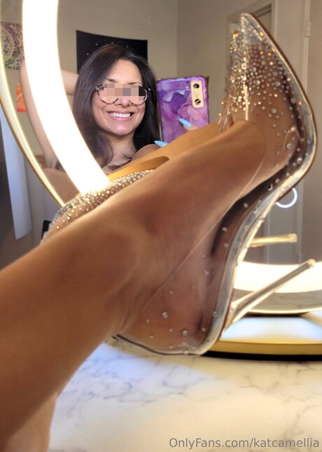 Katcamellia étoile hd galeries