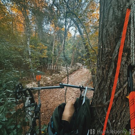 Im Your Hunkleberry actrice artistique galeries