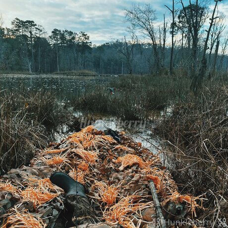 Im Your Hunkleberry modèle sympa photos