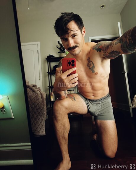 Im Your Hunkleberry étoile de l'art archive