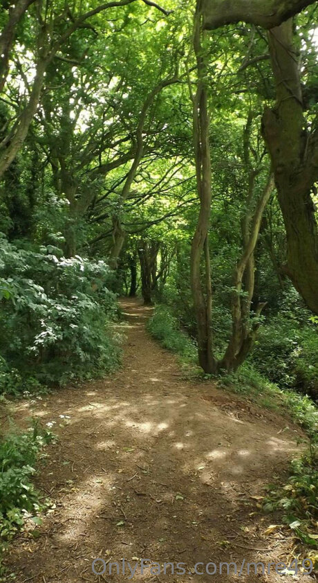 Mre49 star du porno de haute qualité galerie