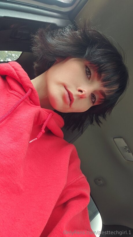 Pesttechgirl 1 actrice de grande qualité image