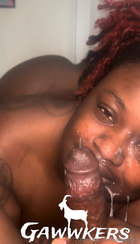 chaton courbé onlyfans pornographique hd collection