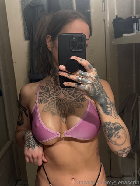 Elenascrib haut de star du porno img