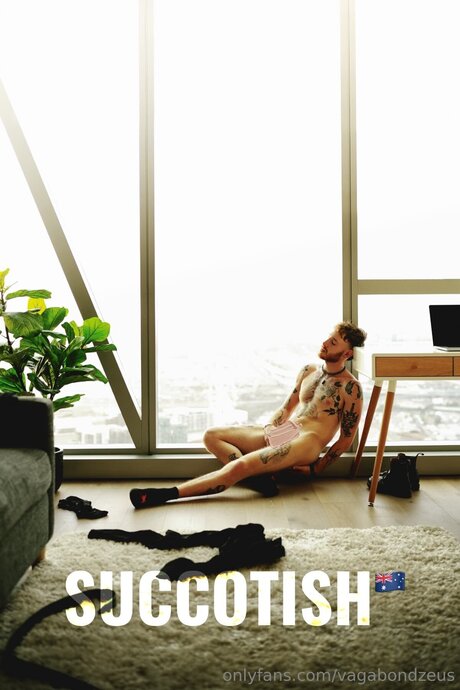 Vagabondzeus étoile chaude galerie