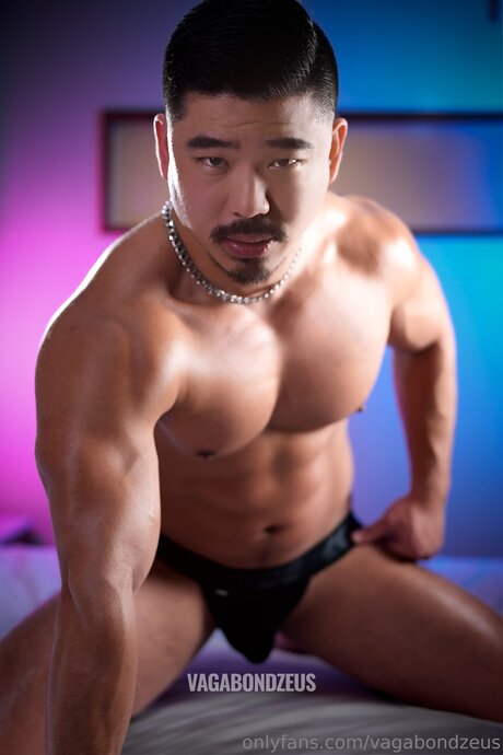 Vagabondzeus étoile de haute qualité collection