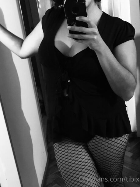 Tibix étoile chaude des photos