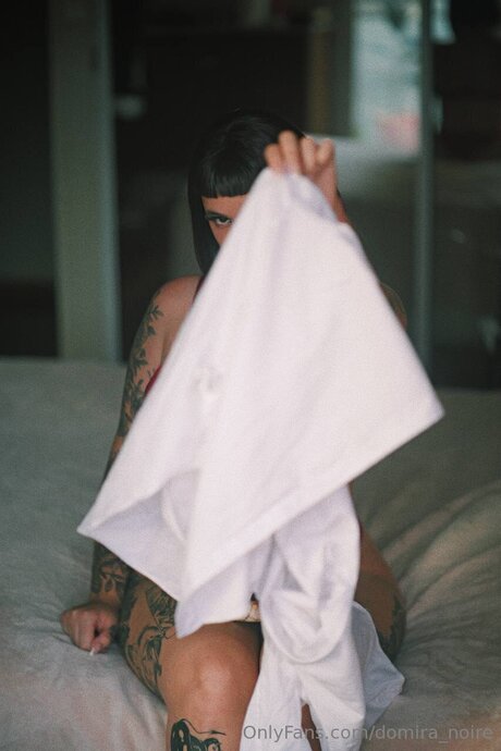 Domira Noire belle star du porno collection