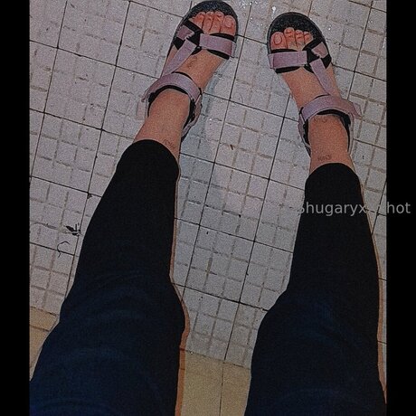 Shugaryxxx star du porno xxx img