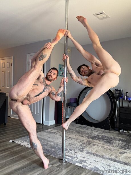 fans gays poilus uniquement sexe nu images