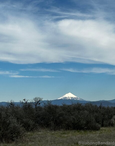 Billabongbandaid actrice de nus collection