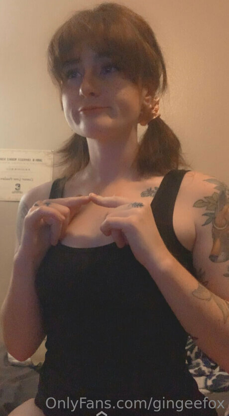 Gingeefox modèle de haute qualité archive