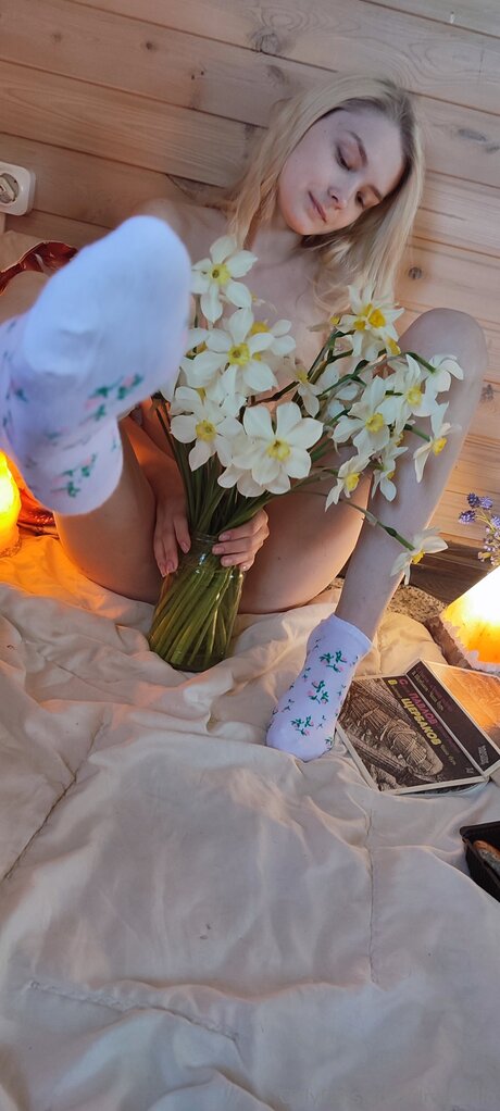 Dreamlilo joli modèle collection