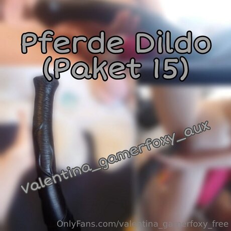 Valentina Gamerfoxy Free art star du porno collection