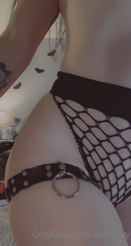 méga fans uniquement parfait photo